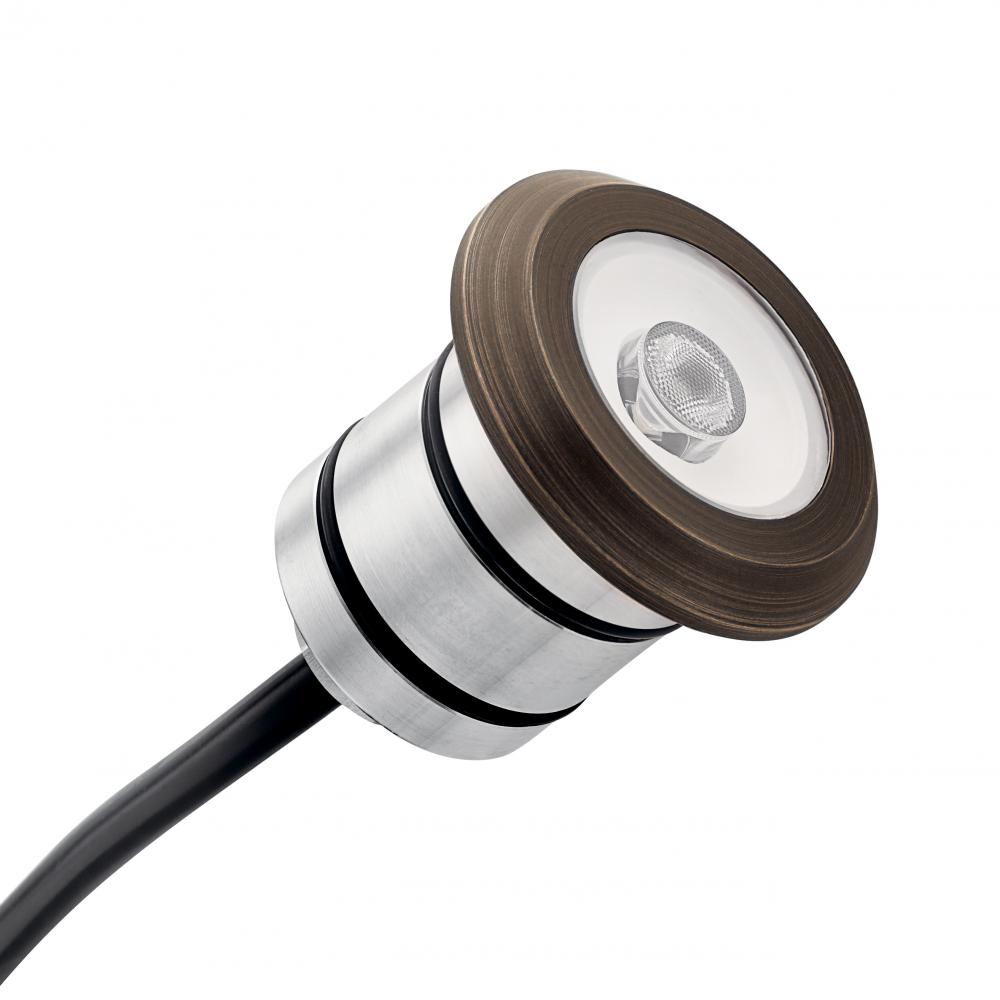 100 Lumen LED Mini All-Purpose Recessed in Black Brass