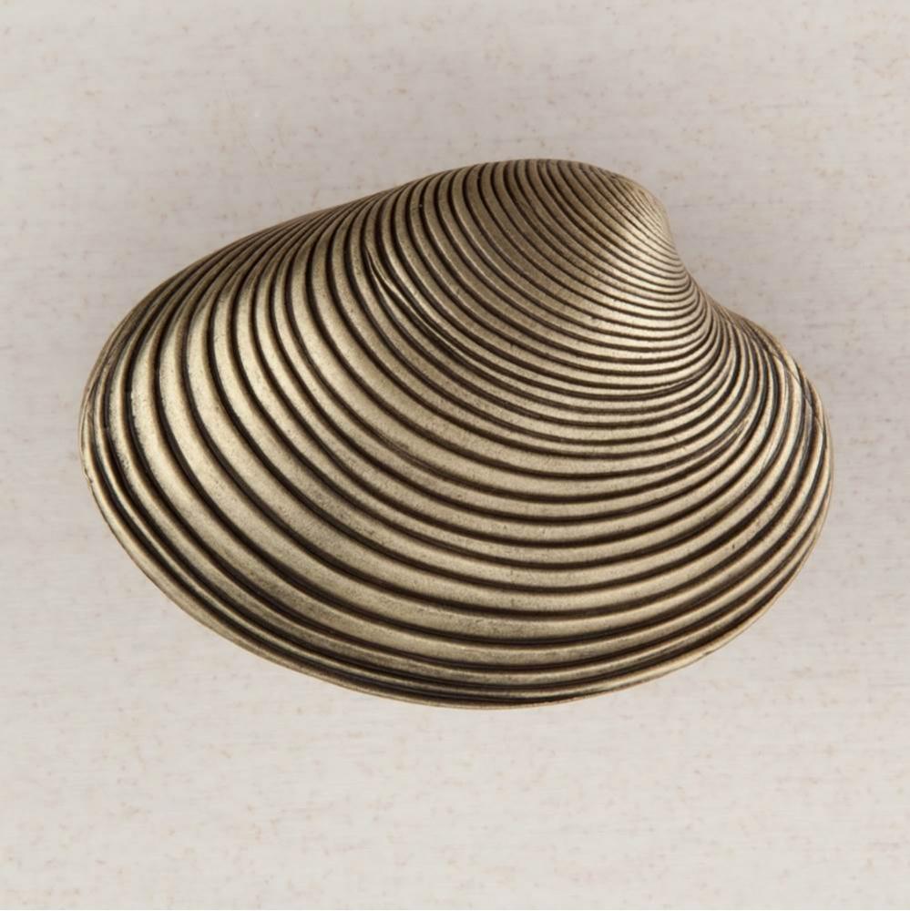 CLAM SHELL 1-3/8'' X 1-7/8''