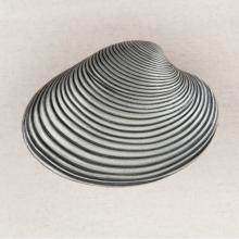 Acorn Manufacturing DP3PP - CLAM SHELL 1-3/8'' X 1-7/8''