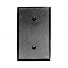 Acorn Manufacturing AWJBP - Blank Switchplate