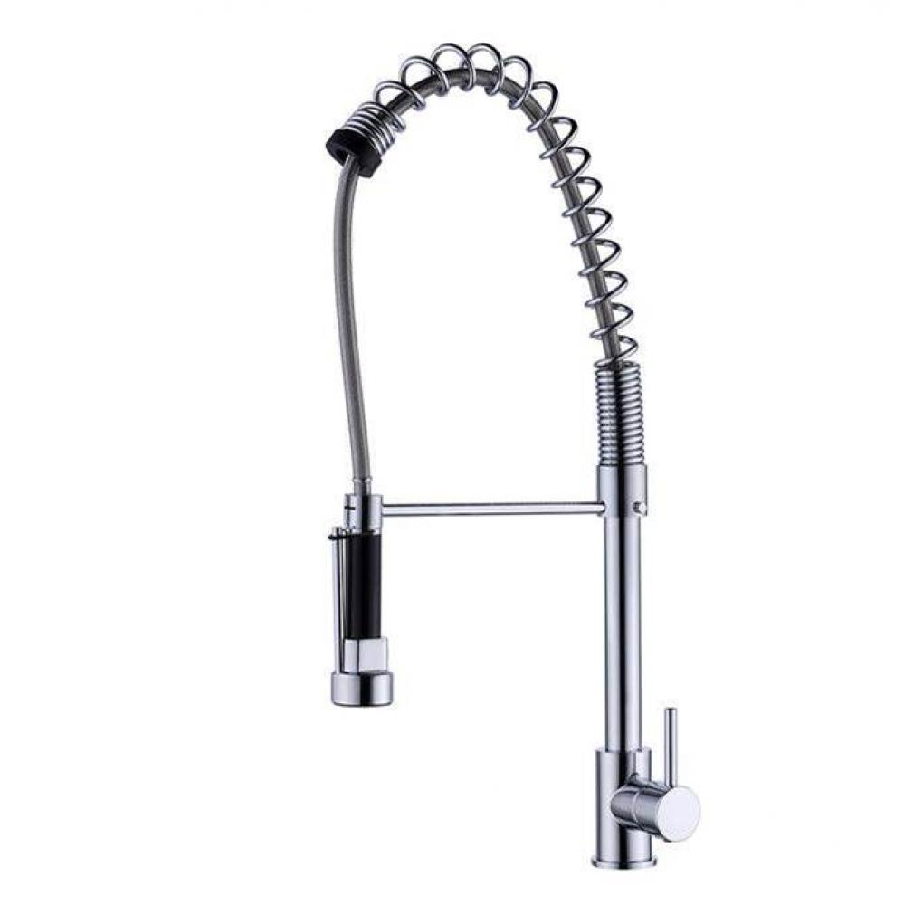 Celie Spring Spout Kitchen Faucet w/Hose,Polished Chrome