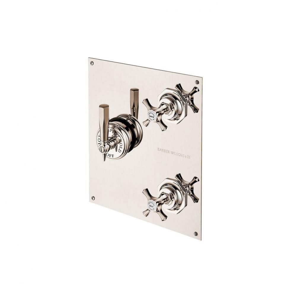 Concealed Mastercraft Thermostatic Valve W/ Two Volume Control  On Rectangular Plate With White Po