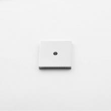 Classic Brass 3937AB - Square Backplate Coin - 1-1/2''
