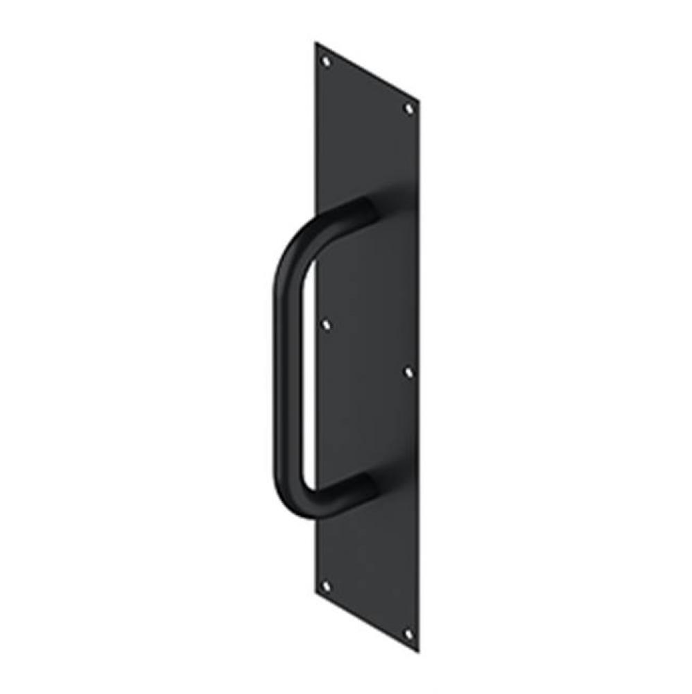 Pull Plate with Handle 4'' x 16'' S/S
