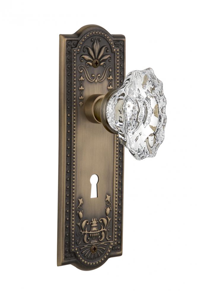 Nostalgic Warehouse Meadows Plate with Keyhole Privacy Chateau Door Knob in Antique Brass
