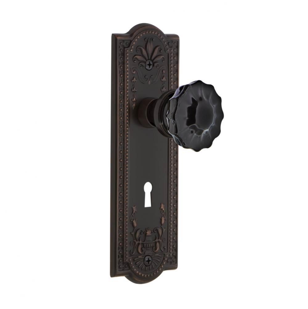 Nostalgic Warehouse Meadows Plate with Keyhole Passage Crystal Black Glass Door Knob in Timeless B