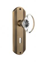 Nostalgic Warehouse 706641 - Nostalgic Warehouse Deco Plate with Keyhole Single Dummy Oval Clear Crystal Glass Door Knob in Ant