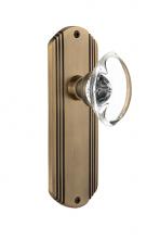 Nostalgic Warehouse 706646 - Nostalgic Warehouse Deco Plate Double Dummy Oval Clear Crystal Glass Door Knob in Antique Brass