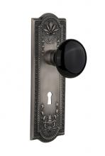 Nostalgic Warehouse 710406 - Nostalgic Warehouse Meadows Plate Interior Mortise Black Porcelain Door Knob in Antique Pewter