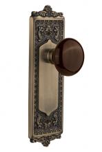 Nostalgic Warehouse 710543 - Nostalgic Warehouse Egg & Dart Plate Single Dummy Brown Porcelain Door Knob in Antique Brass