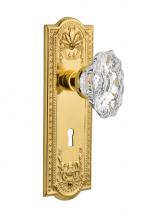 Nostalgic Warehouse 718362 - Nostalgic Warehouse Meadows Plate with Keyhole Privacy Chateau Door Knob in Unlacquered Brass