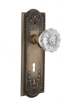Nostalgic Warehouse 718368 - Nostalgic Warehouse Meadows Plate with Keyhole Privacy Crystal Glass Door Knob in Antique Brass