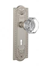 Nostalgic Warehouse 718461 - Nostalgic Warehouse Meadows Plate with Keyhole Privacy Waldorf Door Knob in Satin Nickel