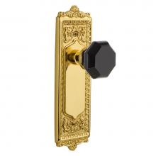 Nostalgic Warehouse 723326 - Nostalgic Warehouse Egg & Dart Plate Double Dummy Waldorf Black Door Knob in Polished Brass