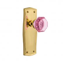 Nostalgic Warehouse 723520 - Nostalgic Warehouse Prairie Plate Double Dummy Waldorf Pink Door Knob in Polished Brass