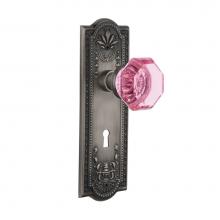 Nostalgic Warehouse 723855 - Nostalgic Warehouse Meadows Plate with Keyhole Double Dummy Waldorf Pink Door Knob in Antique Pewt