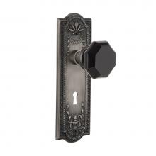 Nostalgic Warehouse 725593 - Nostalgic Warehouse Meadows Plate with Keyhole Privacy Waldorf Black Door Knob in Antique Pewter