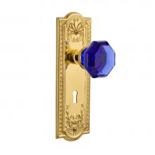 Nostalgic Warehouse 725638 - Nostalgic Warehouse Meadows Plate with Keyhole Privacy Waldorf Cobalt Door Knob in Unlaquered Bras