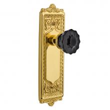 Nostalgic Warehouse 726678 - Nostalgic Warehouse Egg & Dart Plate Passage Crystal Black Glass Door Knob in Polished Brass