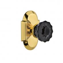 Nostalgic Warehouse 727199 - Nostalgic Warehouse Cottage Plate Privacy Crystal Black Glass Door Knob in Polished Brass