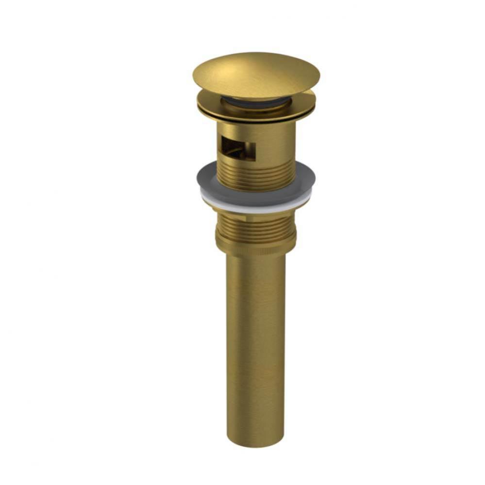 Push-up Drain with Overflow ( Exposed)