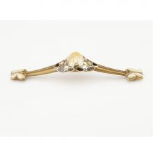 Schaub and Company 960P-PB/AB - Heirloom Treasures,Solid Brass Pull,6'' cc with Tiger Penshell and White and Yellow Moth