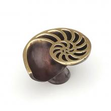 Schaub and Company 980R-PB/BZ - Nature,Sea Shell Knob,Right Hand,Dark Bronze, 1-1/2'' dia