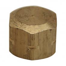 Brasscraft 213-4 - PIPE CAP, 1/4'' FIP