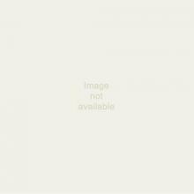 Brizo RP40664PN - Other Roman Tub Hose and Gaskets