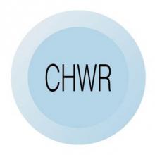 Chicago Faucets 216-678CHWRJKNF - BUTTON