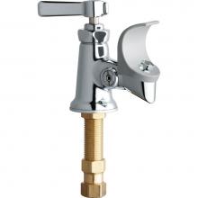 Chicago Faucets 748-244FHABCP - BUBBLER KLO-SELF FLEX HEAD