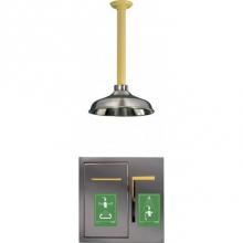 Chicago Faucets 8420-NF - Eye/Face Wash Wall Panel+Safety Shower