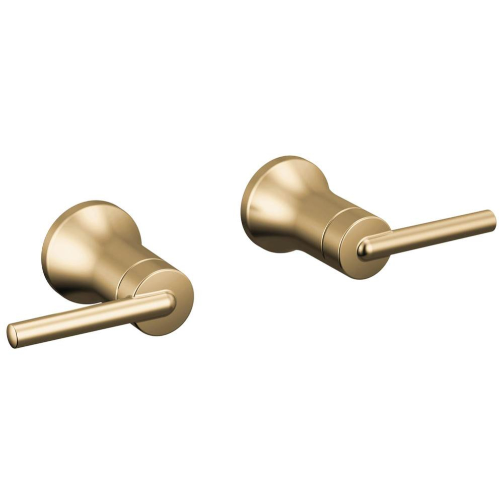 Trinsic® Lever Handle -Wall Mount Lav