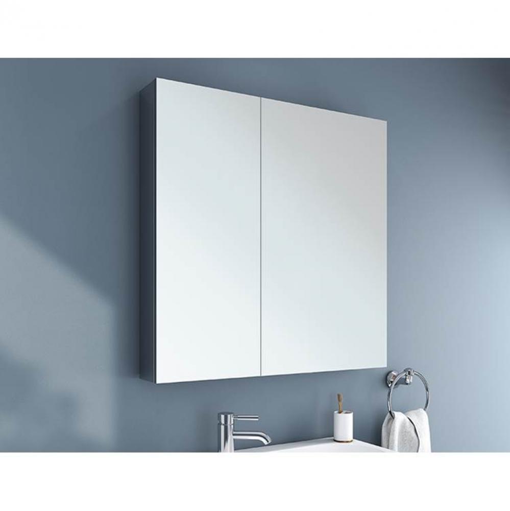 MEDICINE CABINET/BI-VIEW/FLAT/30''X36''