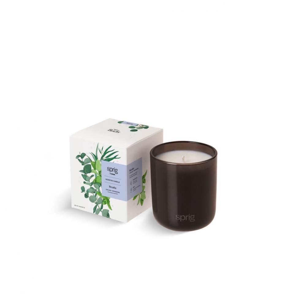Recharge Scented Candle (Bergamot + Lemongrass)