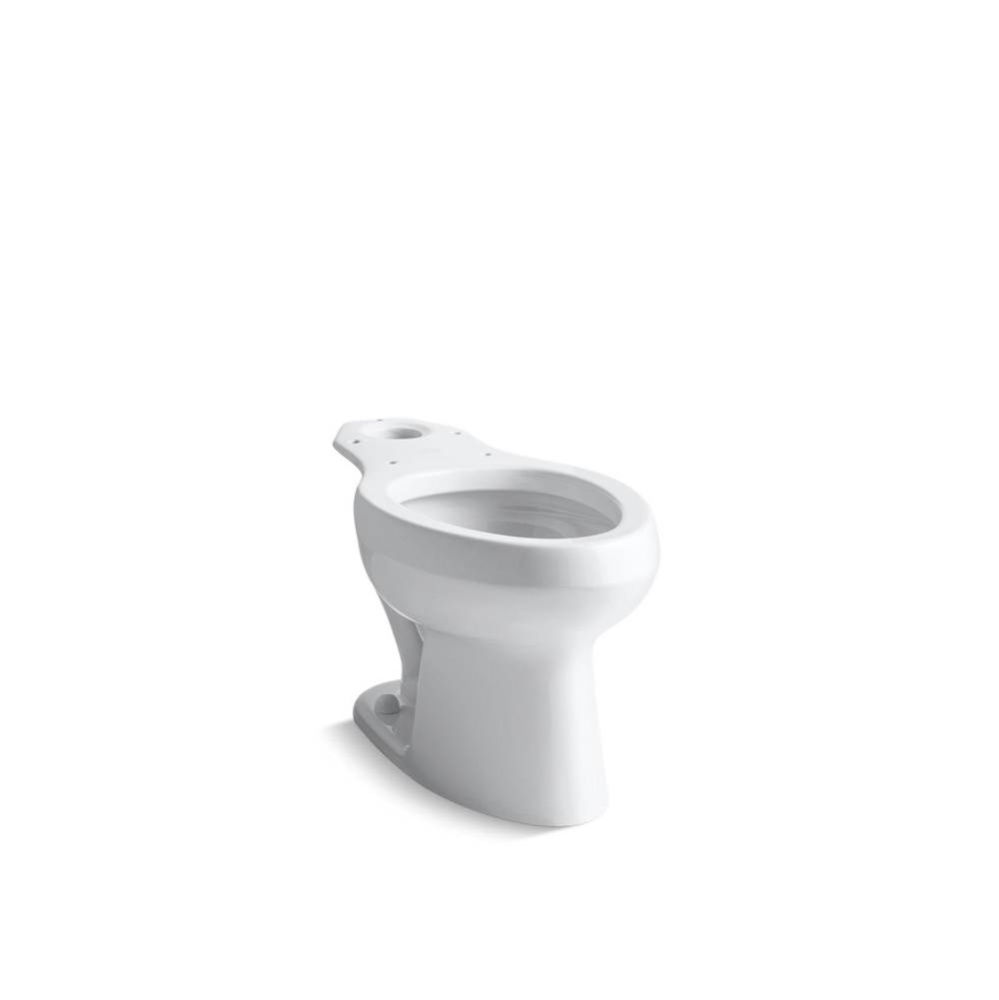 Wellworth® Elongated toilet bowl