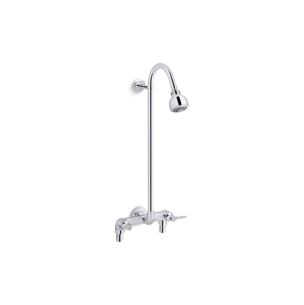 Triton® Bowe® Industrial exposed shower