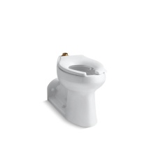Kohler 4352-L-0 - Anglesey™ Floor-mount top spud flushometer bowl with bedpan lugs