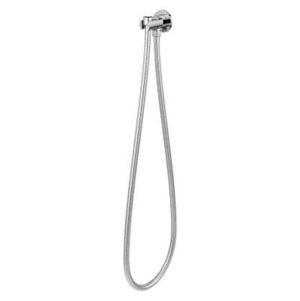 Modern Round 2-Piece Handheld Shower Kit with 60 in. Hose in Polished Chrome