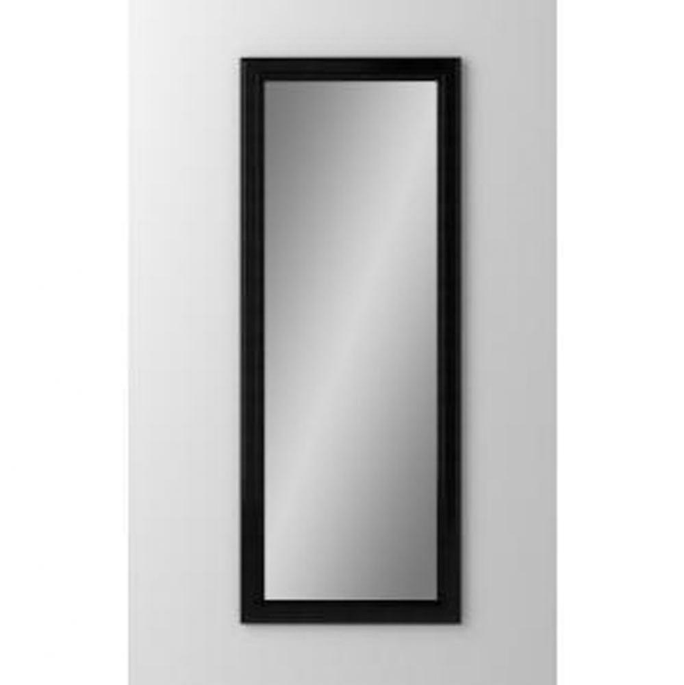 Bryn Mawr 15-1/4'' x 39-3/8'' x 4'' Framed Cabinet, Brushed Black, N