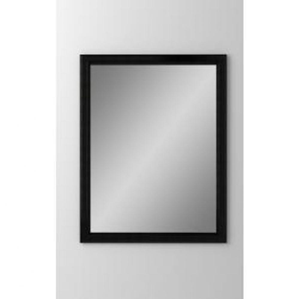 Bryn Mawr 23-1/4'' x 30'' x 4'' Framed Cabinet, Brushed Black, Non-H