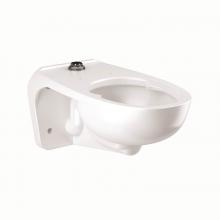 Sloan 2172459 - ST2459A-STG CL FIXT ASM WM TS UNIV (2.0)