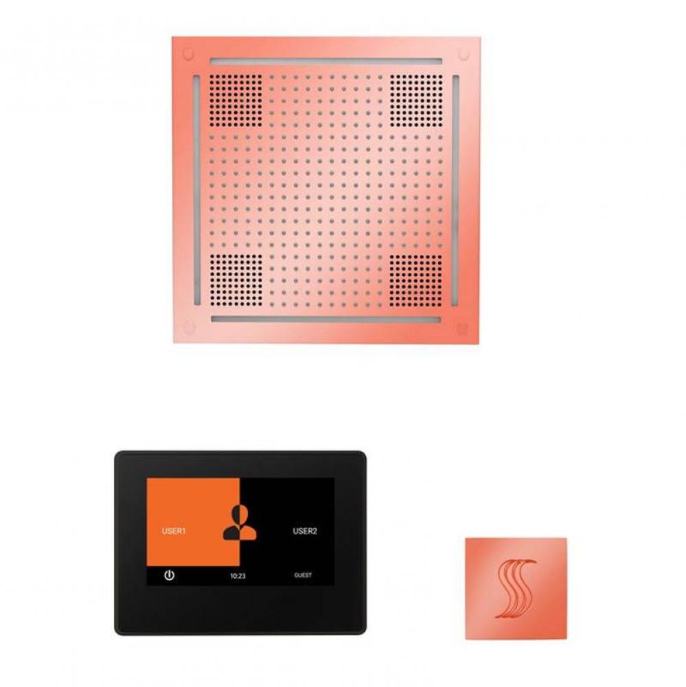 The wellness Hydrovive Steam Package with 7'' ThermaTouch Square