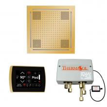 Thermasol WHSPSS-PG - The Wellness Hydrovive Shower Package with SignaTouch Square