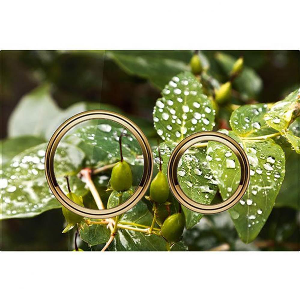 Geberit Sigma50 (ex Sigma21) actuator plate for dual flush, round, metal colour brass-coloured: Ba