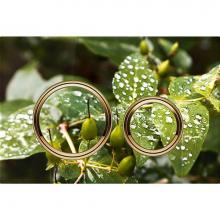 Geberit 115.652.00.1 - Geberit Sigma50 (ex Sigma21) actuator plate for dual flush, round, metal colour brass-coloured: Ba