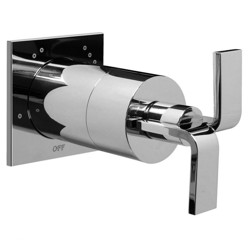 Immersion Transfer Valve Trim Plates and Handle