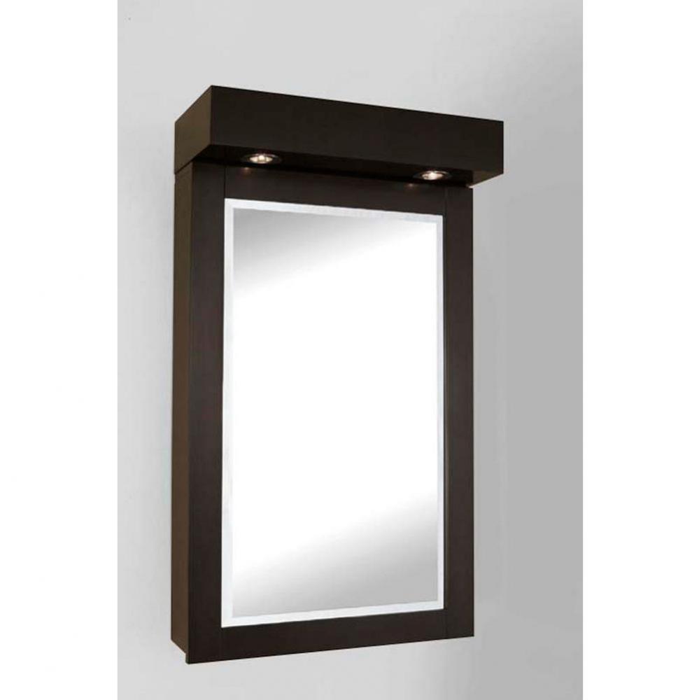 Titan 22'' Medicine Cabinet