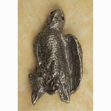 Anne At Home 130 - Parrot