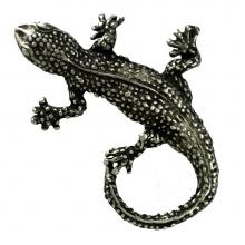 Anne At Home 93 - Lizard